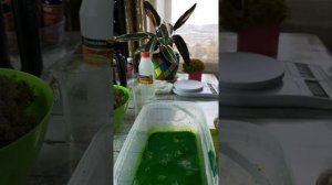 Стабилизируем мох в домашних условиях!