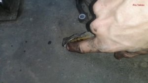 Toyota Kluger 2AZ-FE Замена Цепи ГРМ..