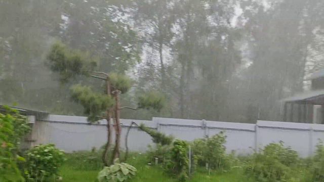 Ливень на даче смотреть онлайн