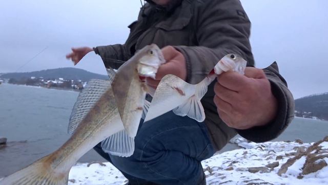 Щука Судак-Зимой. смотреть онлайн
