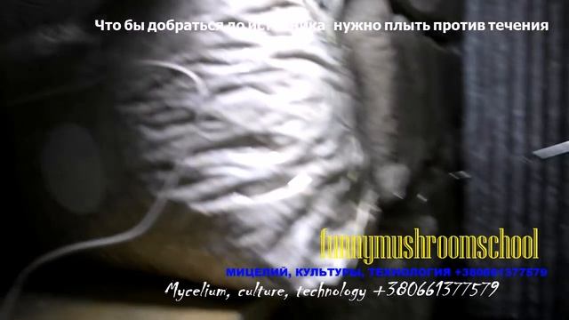 Простая автоматизация термостатов, холодильников, выростных помещений смотреть онлайн