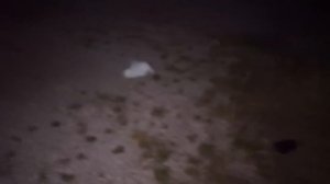 НАШЛИ ДОСКУ ВЫЗОВА ДУХОВ НА ЗАБРОШЕННОМ ОСТРОВЕ Мистика - Призрак Вэрана 2 - 7 Серия | Elli Di