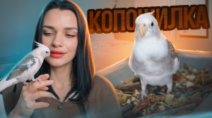 КОПОШИЛКА ДЛЯ ПОПУГАЯ