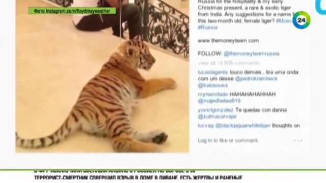 Мейвезеру подарили Lada Vesta смотреть онлайн