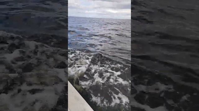 Ладожское озеро 🛥️🛥️🛥️🌊🌊🌊🌊🌊 смотреть онлайн