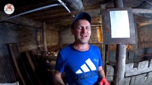 Нереальный забой на 425 кг / Сколько можно заработать на откорме свиней в деревне