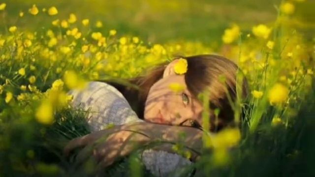 Славянский Сергей-Полевые Цветы(дуэт с Л.Шепиловой) смотреть онлайн