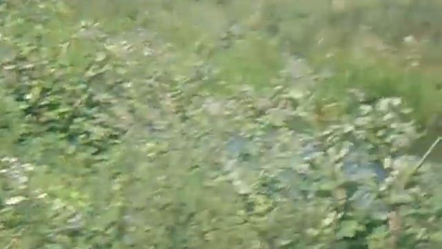 ЗАО Умалат гробит Экологию России 2014 год, пойма реки Сев смотреть онлайн