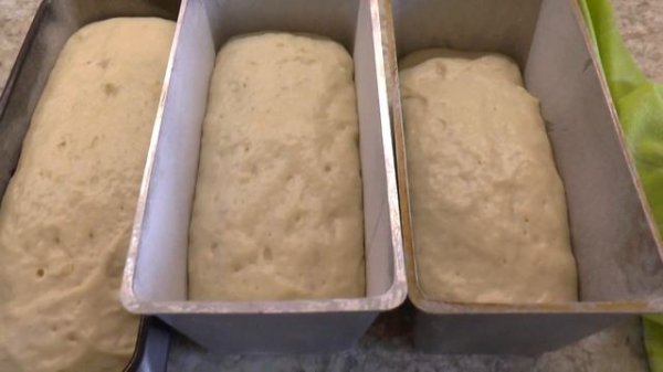 Хлеб домашний белый в духовке Рецепт хлеба в домашних условиях