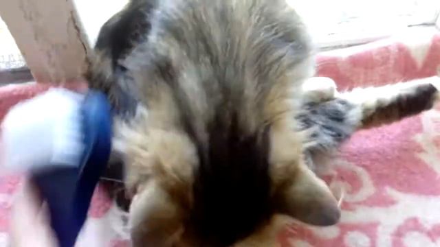 Семён и пуходерка