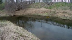 Ловля плотвы весной на малой реке