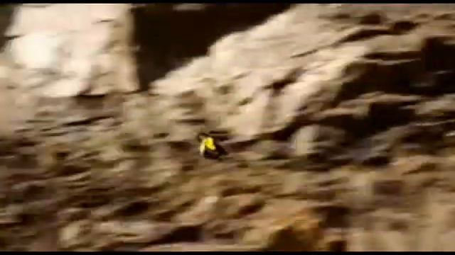 Eisbrecher - FREISTURZ (FÜR IMMER FREI)