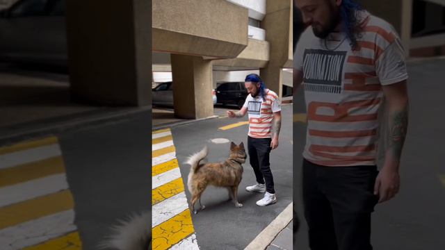 21 de febrero de 2024 смотреть онлайн