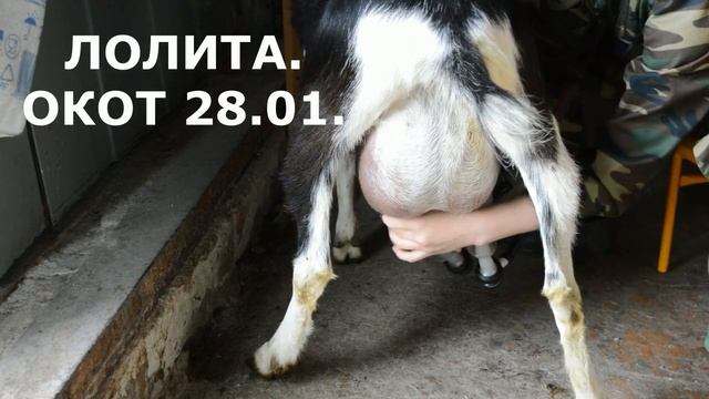 Вареная сгущенка. Проверенный рецепт. смотреть онлайн