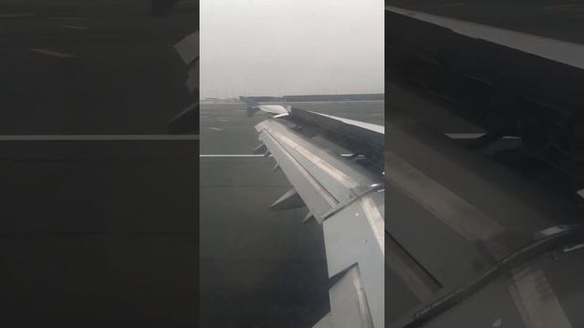 ДМЕ-Аль-Мактум смотреть онлайн