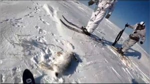 охота на зайца.