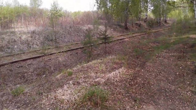 Дорожка в лесу. смотреть онлайн