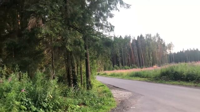 Работаю с мужем! Красивые места! Сколько чаевых?! Трудно ли работать курьером? смотреть онлайн