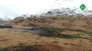 Шотландия. Анонс. Канал Зоо ТВ.