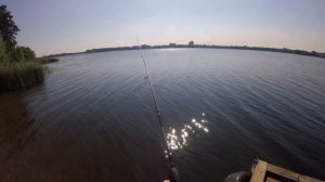 Ловим окуня на спиннинг. Город Липецк ,  река Воронеж