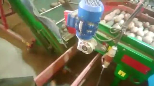 Сухая очистка, калибровка и фасовка картофеля смотреть онлайн