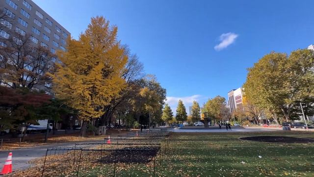 Apple ProRes 422 HQ / iPhone 14 Pro Max смотреть онлайн