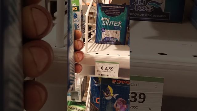 обзор отдела аквариумистики в зоо магазине #subscribe #aquarium #fishaquarium #fishtank #angelfish