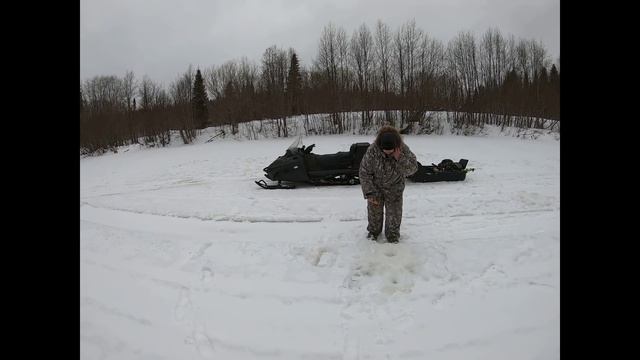 Тайга! Хариус!! Баня!!! смотреть онлайн