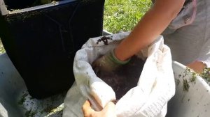 Система выращивания растений в мешках. Подходит для нескольких ярусов в Купольном Доме Вегетарии