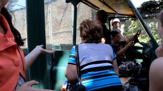 Куда пойти в Будапеште: зоопарк смотреть онлайн