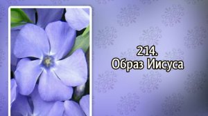 Гимны надежды 214 Образ Иисуса (-)