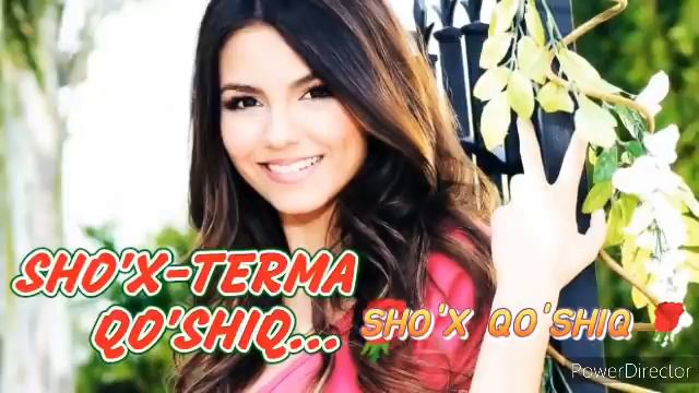 Хит Терма кушиклар || УЗБЕКЧА ШУХ ТЕРМА КУШИКЛАР || TOP 50 UZBEKCHA ТЎЙБОБ ШЎХ  ҚЎШИҚЛАР 👍