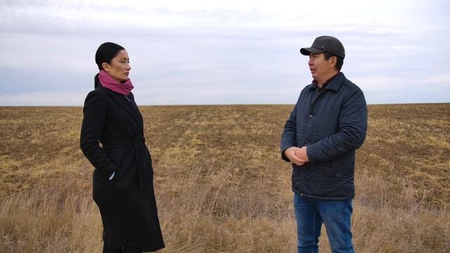 Посев люцерны. Программирование урожая многолетних трав смотреть онлайн