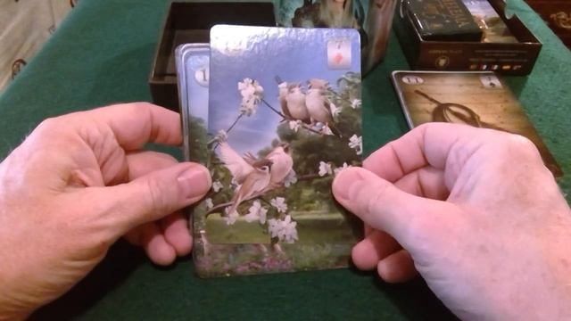 Unboxing and review of the Thelema Lenormand deck - beautiful смотреть онлайн