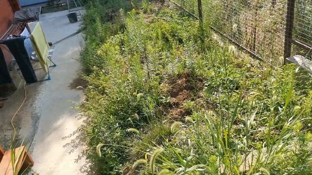 Сочи. Горное Лоо Утро. +30°C. 17.08.2022г.© смотреть онлайн