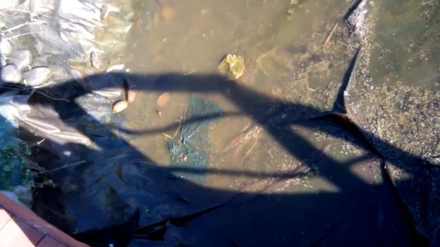 чистим водоем смотреть онлайн
