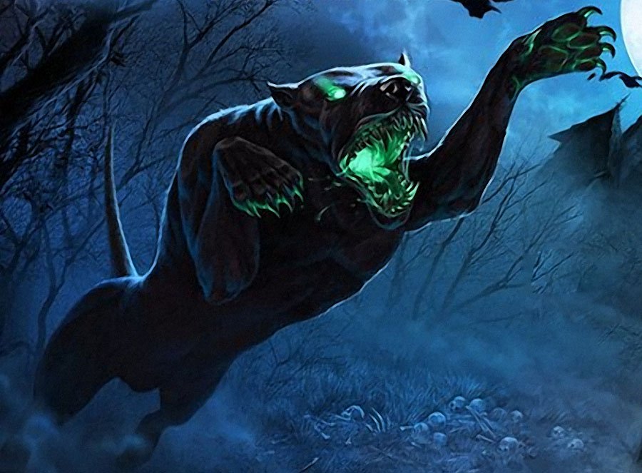 The Hound Of The Baskervilles