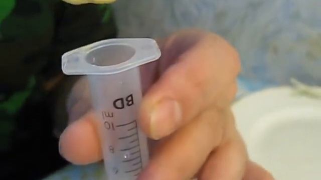 Ручное кормление птенца изумрудной горлицы смесью "Нутриберд". смотреть онлайн