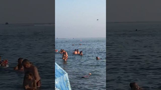 Дивноморское 2016 смотреть онлайн