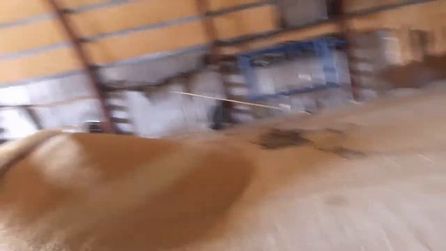 Сортировка зерна на сепараторе Алмаз смотреть онлайн