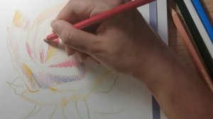 Роза акварельными карандашами || Учимся Рисовать