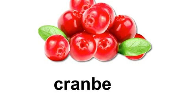 English berries vocabulary смотреть онлайн