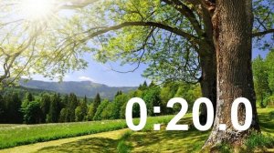 СЕКУНДОМЕР ⏱️ на 20 секунд со звуком