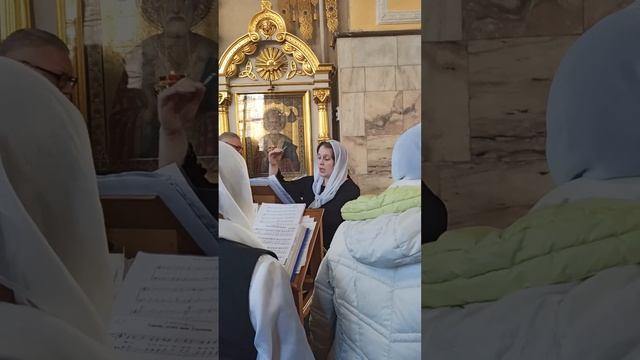 12. 02. 2023. Могилёв. Трехсвятительский собор. Когда душа стремится в небеса.... смотреть онлайн