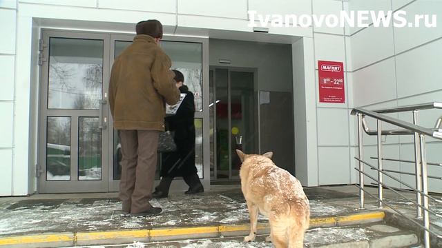Ивановский народный поэт и его верный пес смотреть онлайн