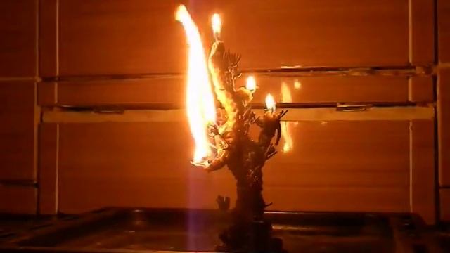 Горение именной свечи Родовое дерево смотреть онлайн