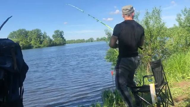 Ловля товарного леща. Донки. Достойное начало летнего сезона. Бомбовые поклёвки. Копчение рыбы. смотреть онлайн