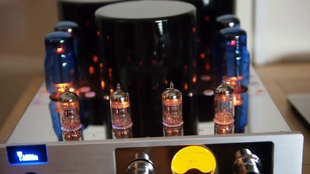 YAQIN MC 13-S VALVE AMP