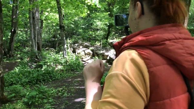 Гора Стрижамент смотреть онлайн