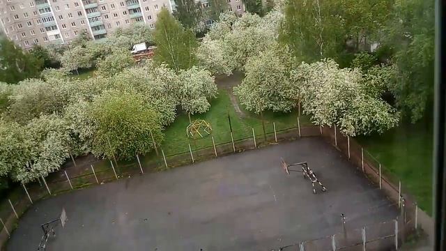 Сегодня второй ураган? смотреть онлайн